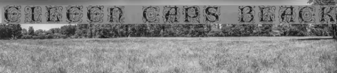 Eileen Caps Black Font examples