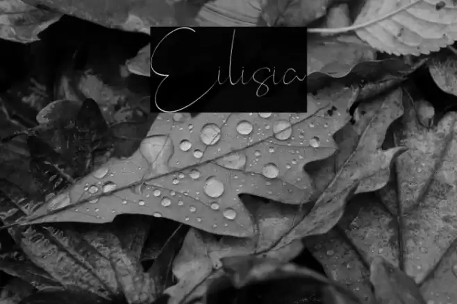 Eilisia Font examples