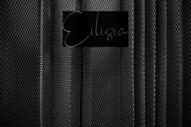 Eilisia Font examples