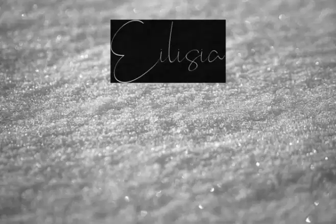 Eilisia Font examples