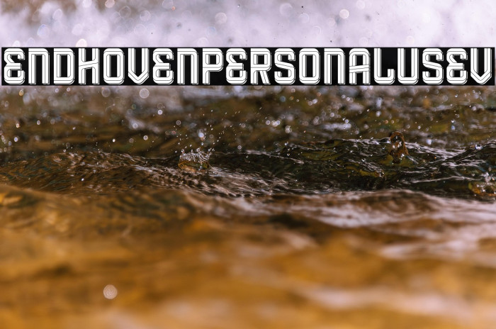 Eindhoven Personal Use VI Example 1