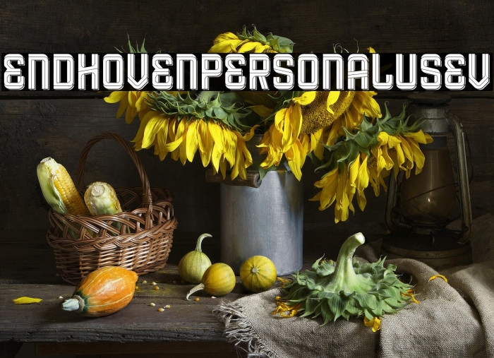 Eindhoven Personal Use VI Example 2