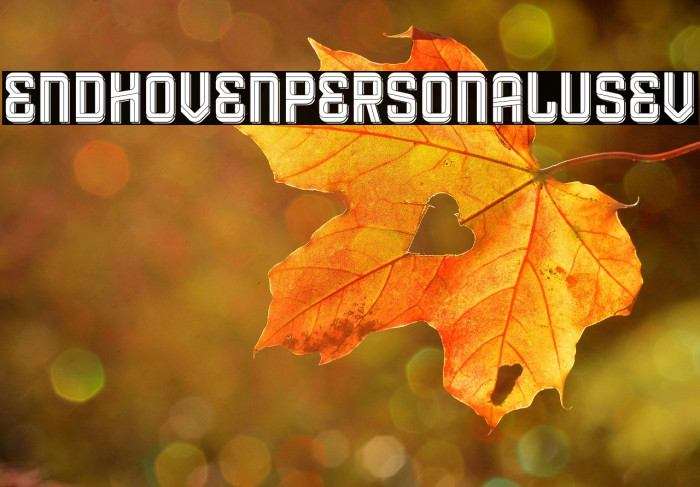 Eindhoven Personal Use VI Example 3