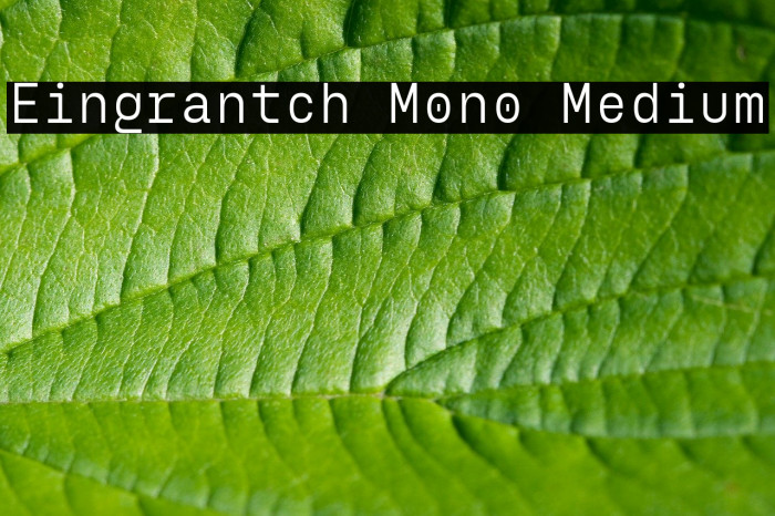 Eingrantch Mono Medium Font examples