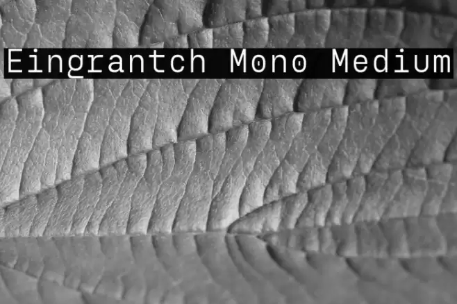 Eingrantch Mono Medium Polices examples