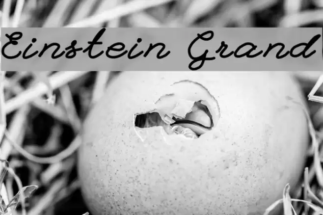 Einstein Grand Font examples