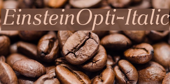 EinsteinOpti-Italic Font examples