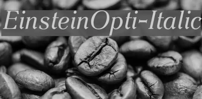 EinsteinOpti-Italic examples