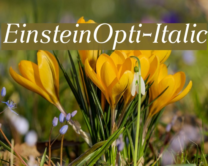 EinsteinOpti-Italic Font examples