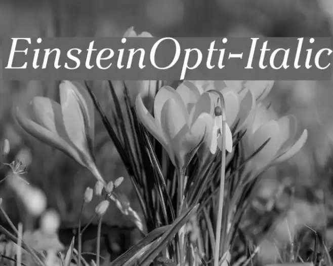 EinsteinOpti-Italic examples