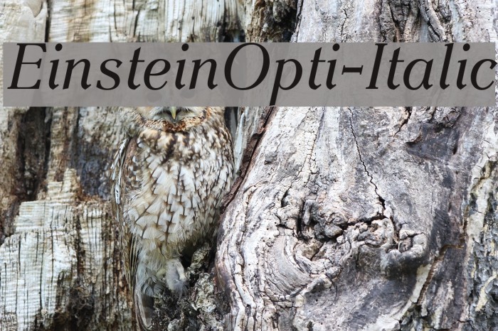 EinsteinOpti-Italic Font examples