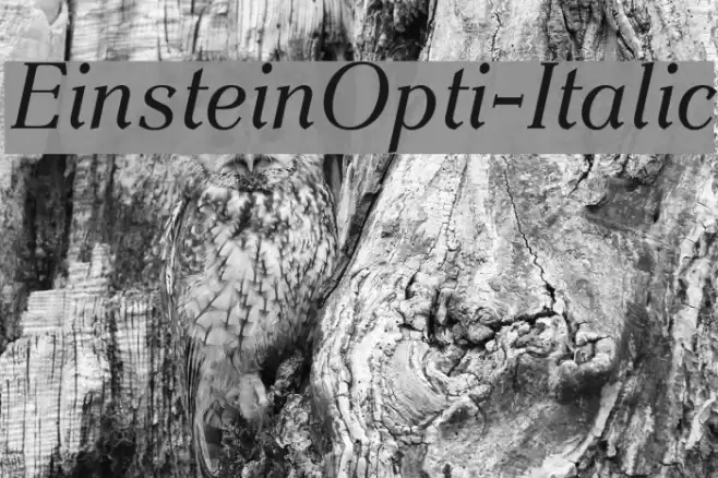 EinsteinOpti-Italic examples