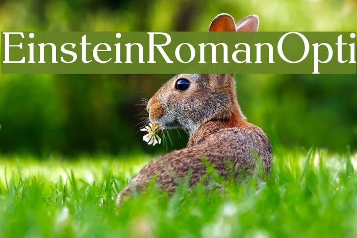 EinsteinRomanOpti Font examples