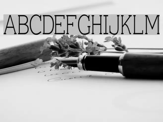 Einzig Serif Font examples