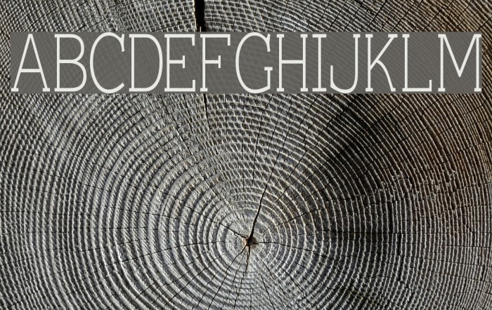 Einzig Serif Font examples