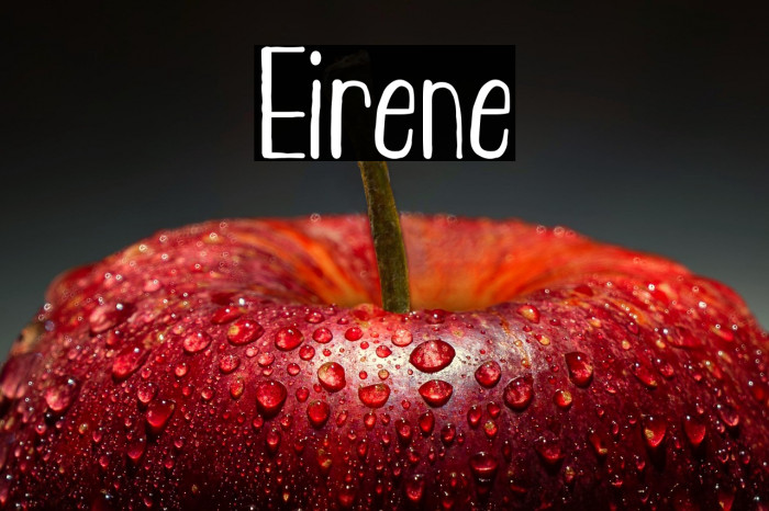Eirene Example 2