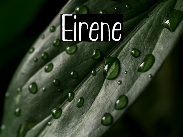 Eirene Example 3