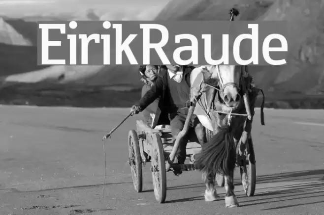 EirikRaude Fonte examples