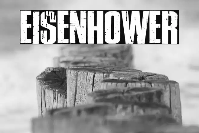 Eisenhower Font examples