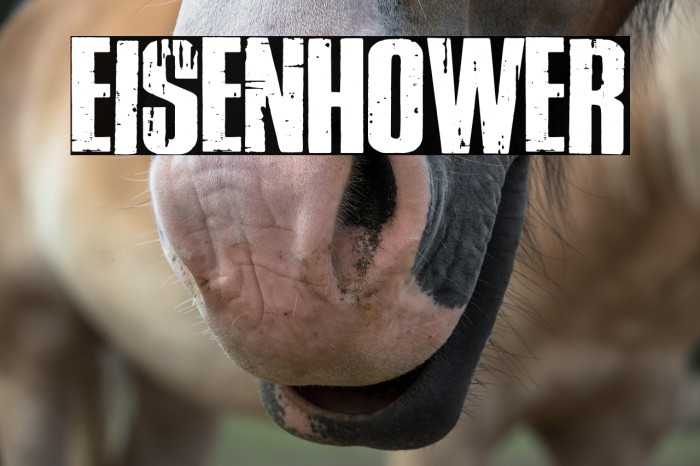 Eisenhower Example 2