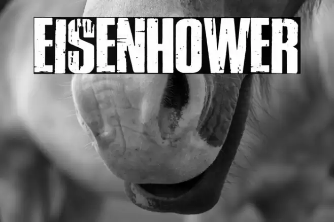 Eisenhower Font examples