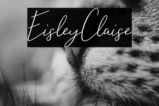 EisleyClaise Font examples