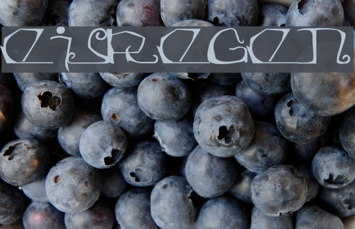 Eisregen Font examples