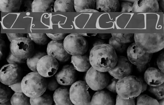 Eisregen Шрифта examples