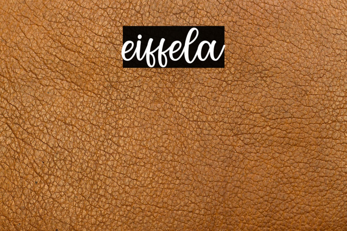 eiffela Example 2
