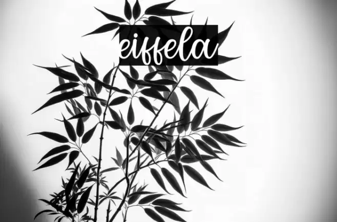 eiffela Font examples