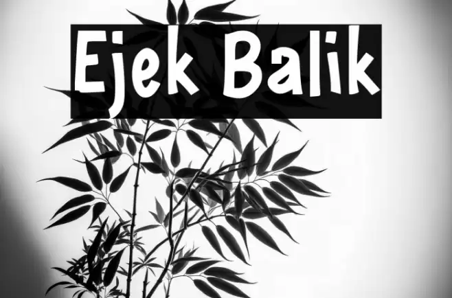 Ejek Balik Font examples