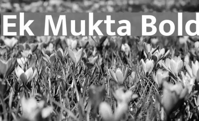 Ek Mukta Bold Font examples