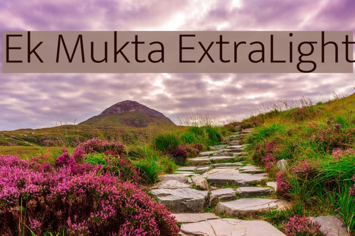 Ek Mukta ExtraLight Font examples