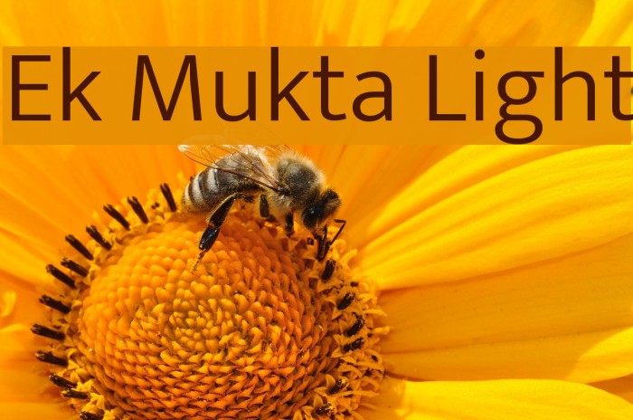 Ek Mukta Light Font examples