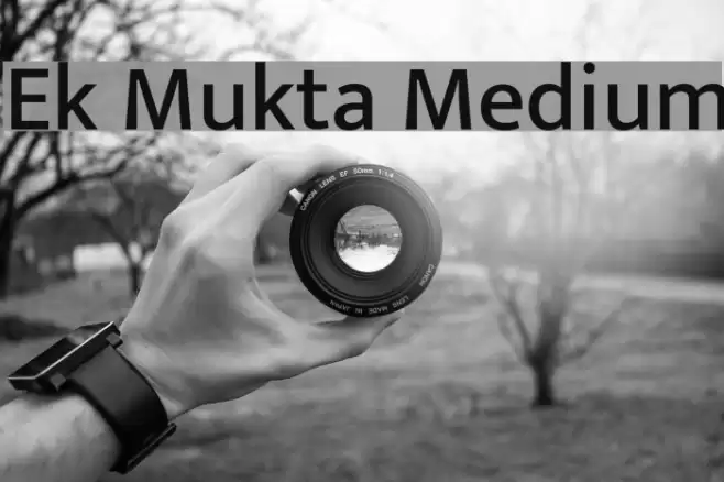 Ek Mukta Medium Font examples