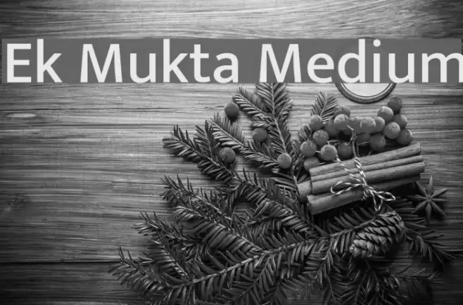 Ek Mukta Medium Font examples