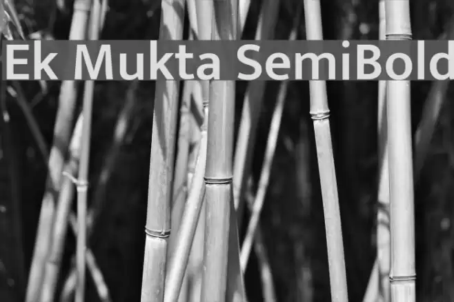 Ek Mukta SemiBold Font examples