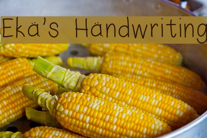 Eka's Handwriting Font examples