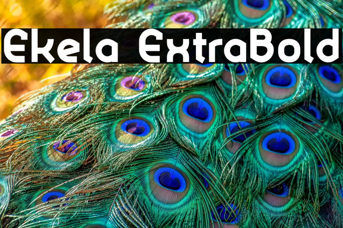 Ekela ExtraBold Example 1