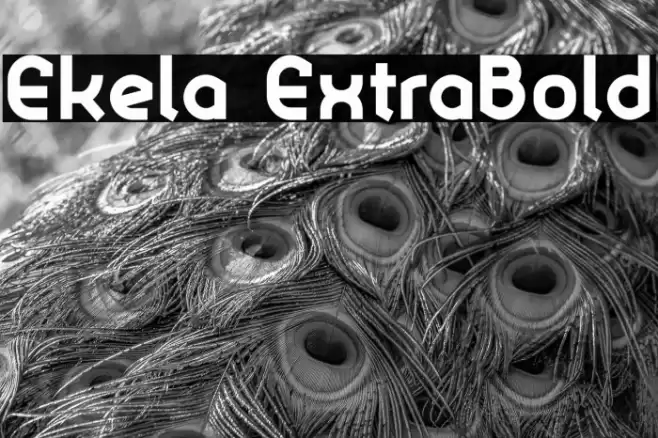 Ekela ExtraBold Font examples