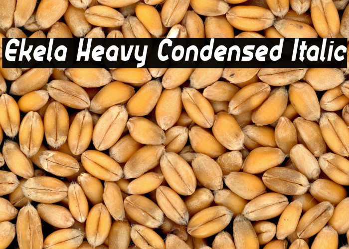 Ekela Heavy Condensed Italic Example 3