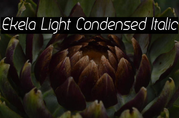 Ekela Light Condensed Italic Example 3