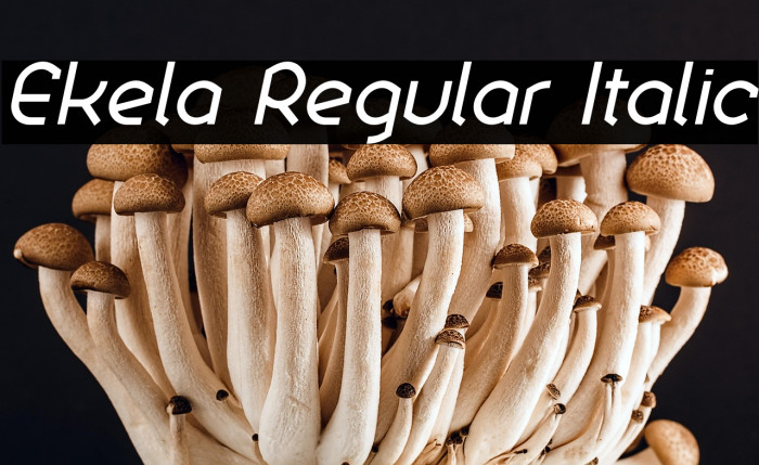 Ekela Regular Italic Example 2