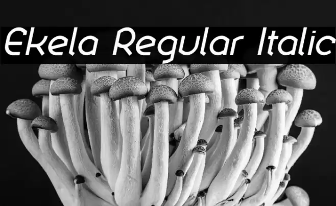 Ekela Regular Italic Font examples
