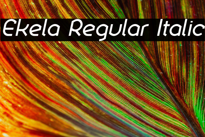 Ekela Regular Italic Example 3