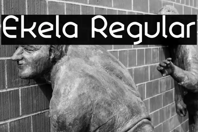 Ekela Regular Example 1