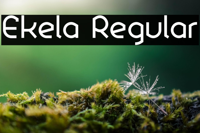 Ekela Regular Example 2