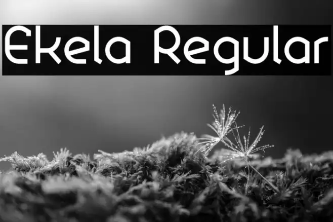 Ekela Regular Example 2