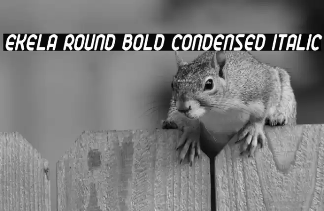 Ekela Round Bold Condensed Italic Font examples