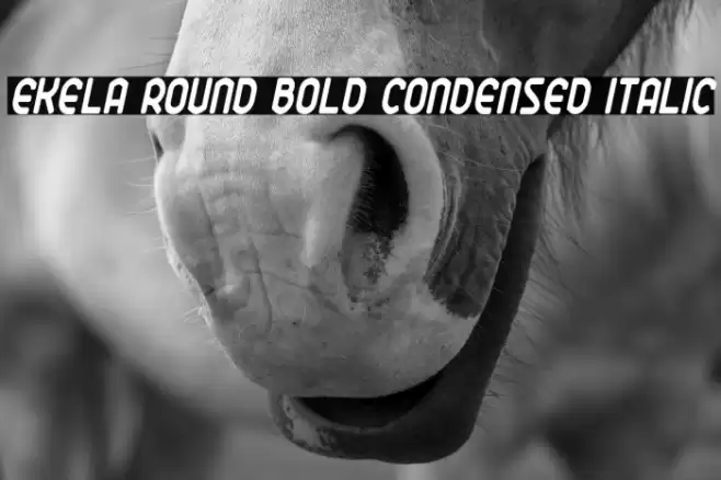 Ekela Round Bold Condensed Italic Font examples